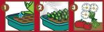 Accessoires pour semer - Plateau d'Arrosage et Couvercle - MEDIA_EN_SITUATION_2